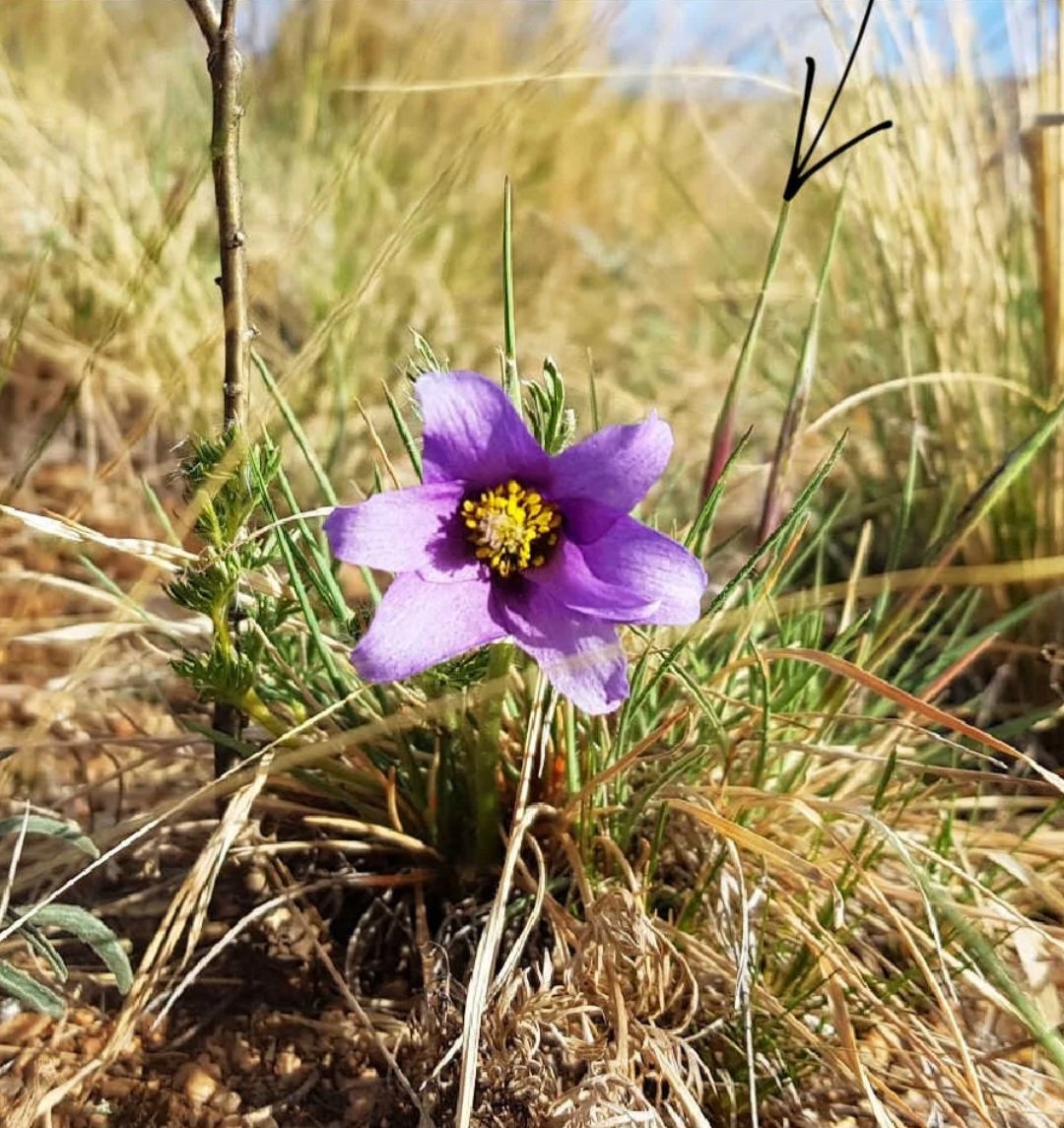 Ч.Оюун-Эрдэнэ tweet media