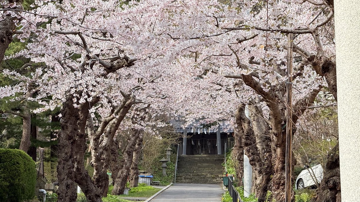 【公式】(一社)函館国際観光コンベンション協会 tweet media