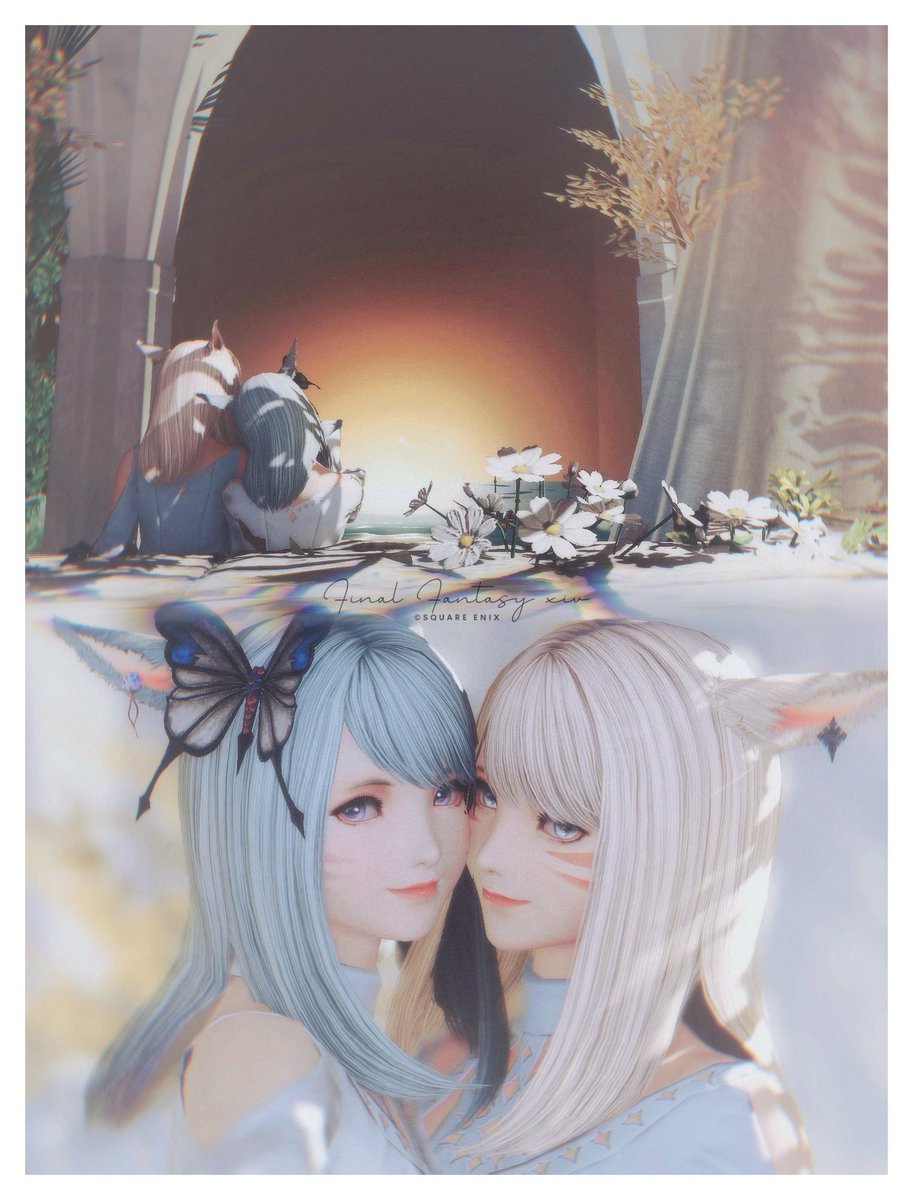 𝙲𝚑𝚎𝚕𝚜𝚎𝚊 tweet media