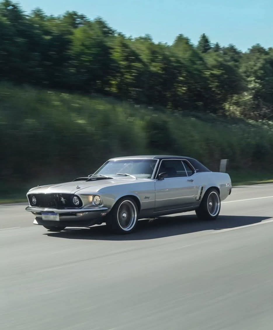 AlejandroJGarza's tweet image. 1969 #FordMustang
Hardtop