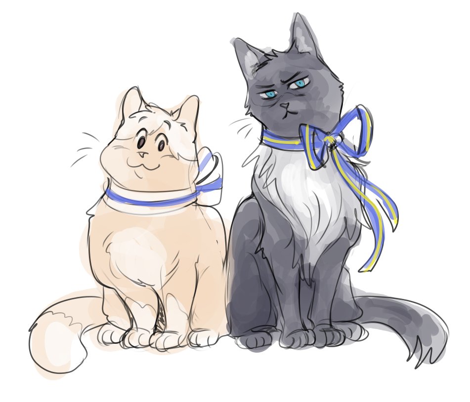 I hatetalia tweet media