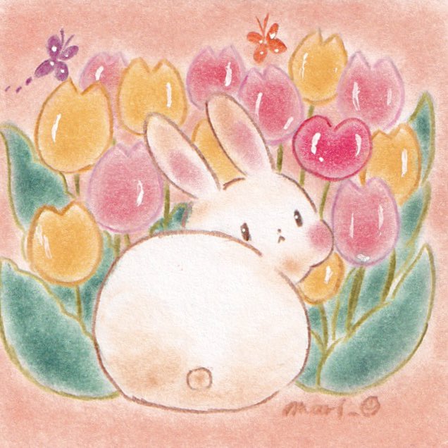 まりものイラスト