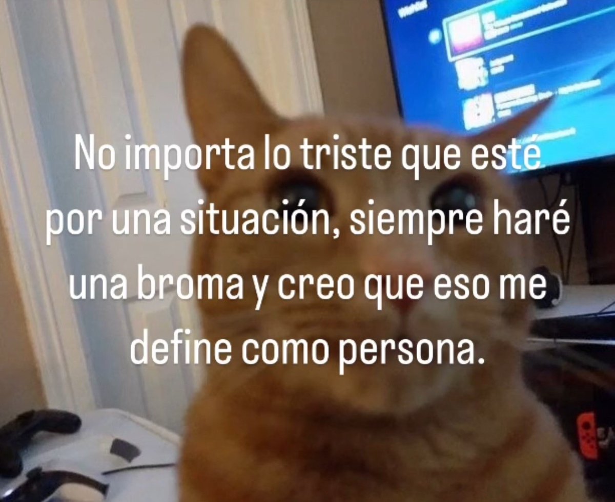 Mundo de Bigotes (@mundodebigotes) on Twitter photo 