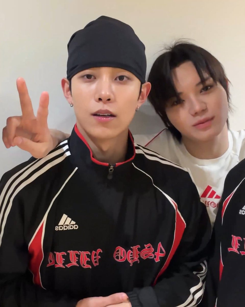 고사리 tweet media