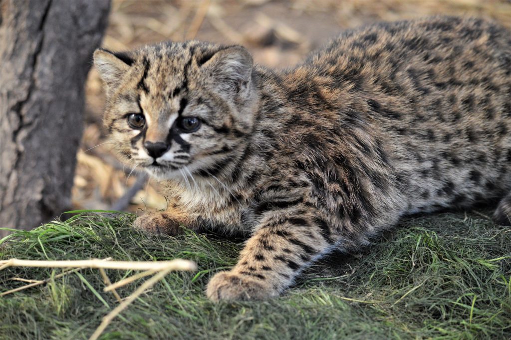 Ali♠️ BILLLIE'S 1ST FULL ALBUM MAY 6TH tweet media