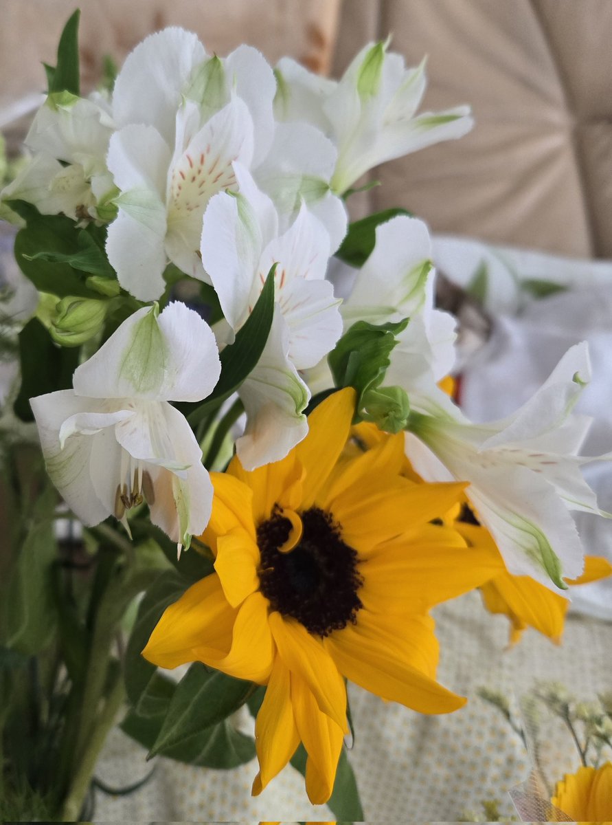 サフラン tweet media