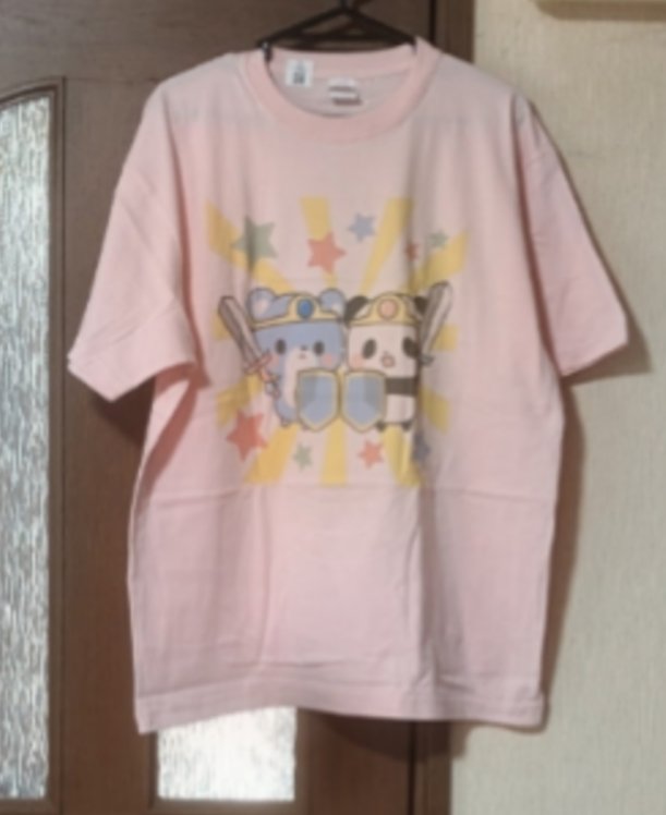 ogatch4451's tweet photo. コア特典とどきました〜⁡
⁡5種類目GET👍⁡
⁡#配信アプリ #ポコチャ  #コア特典  #tシャツ  #ぱんだ https://t.co/NEgzhcJvCH