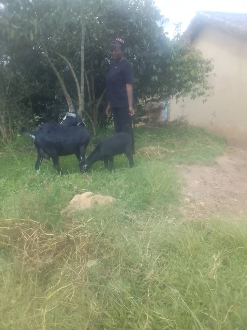 KWIGIRA 3600 FOUNDATION (K3600F) tweet media