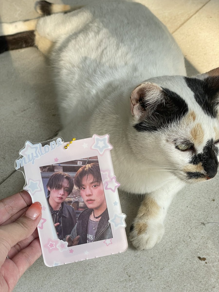 throughout the event, ang pictures lang sa phone ko ay ang mga bochog cats sa PAWS 🤣

i believe the first pic is meme worthy 😌😌😌