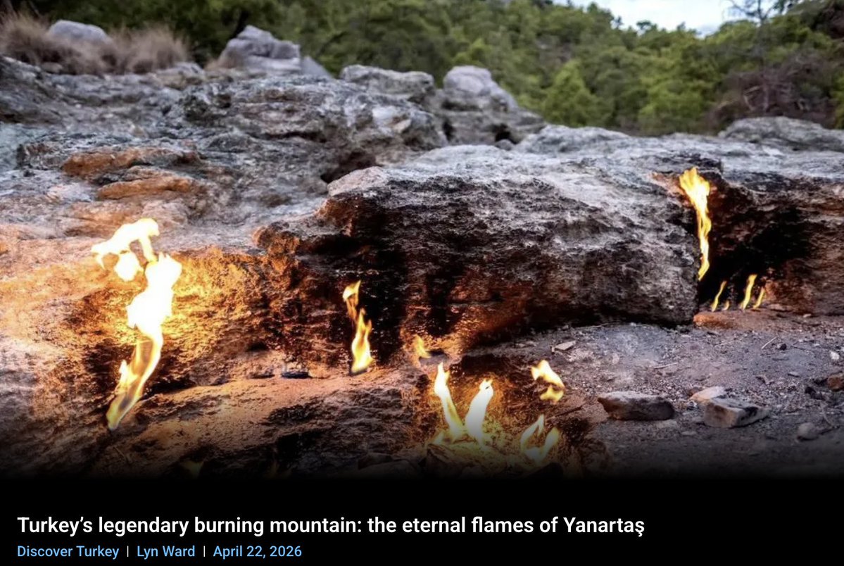 FethiyeTimes tweet media