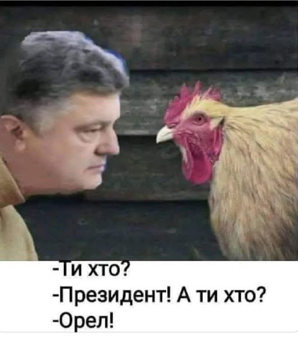 Розвідник погоди tweet media