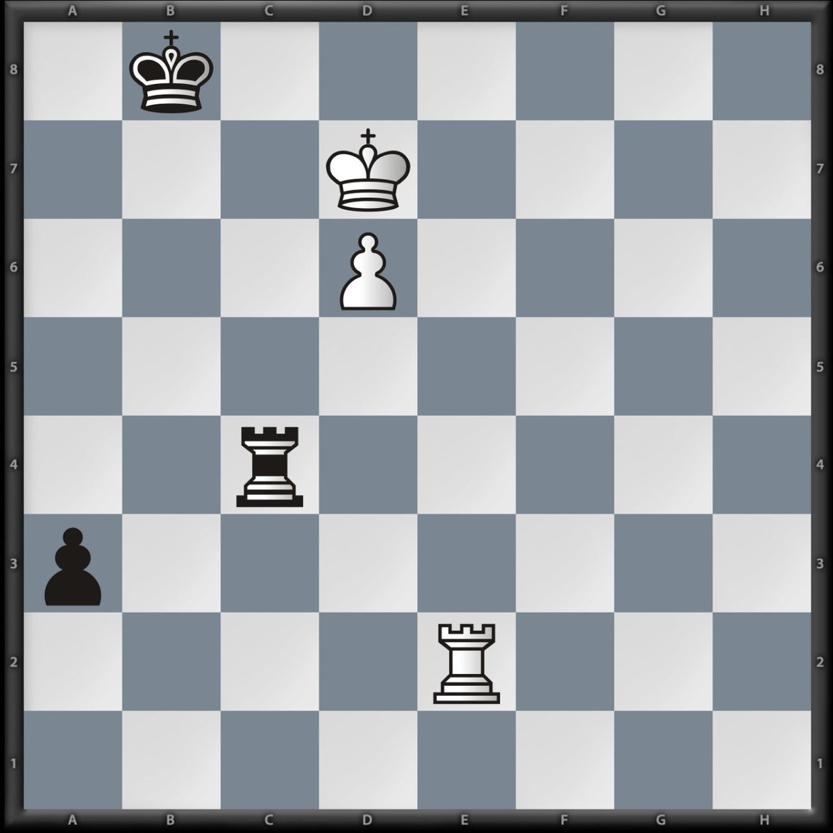 Susan Polgar tweet media