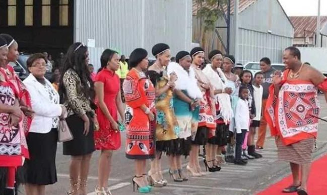 番茄大叔🇨🇳 tweet media