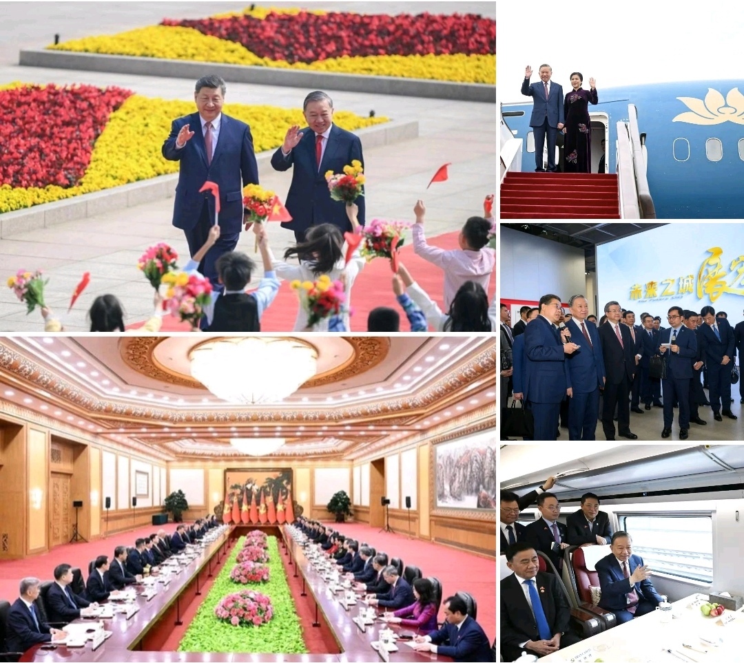 UNSDG WORLD tweet media