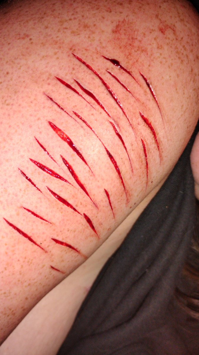 👾 of ✨shtwt✨ tweet media