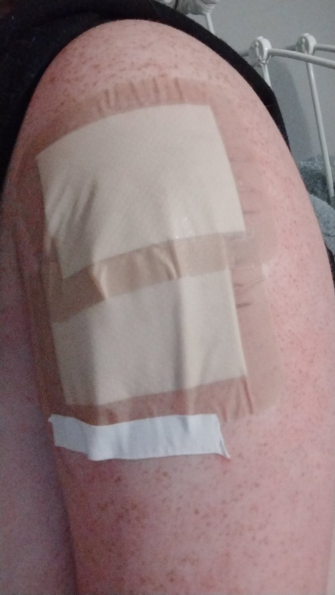 👾 of ✨shtwt✨ tweet media