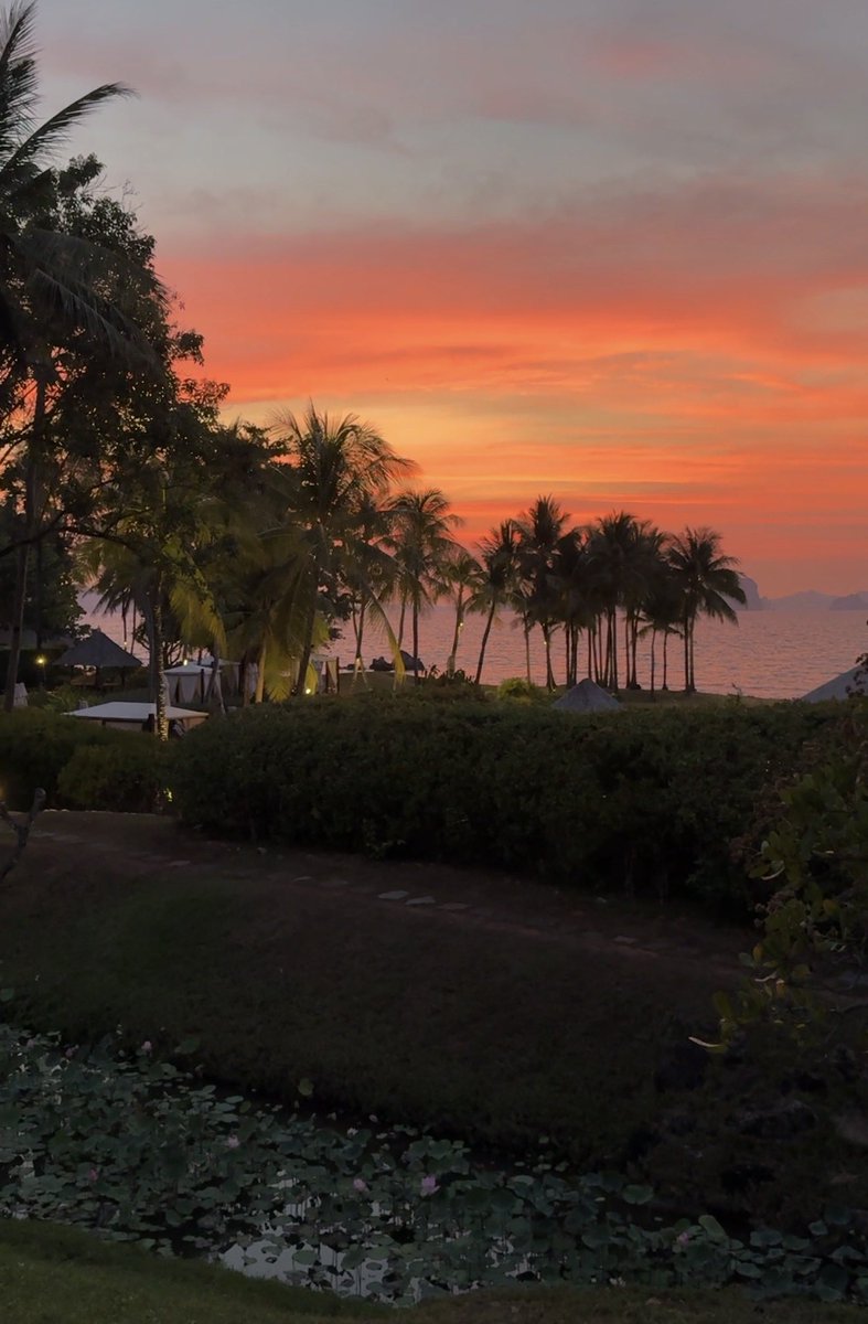 Timothy Sykes tweet media