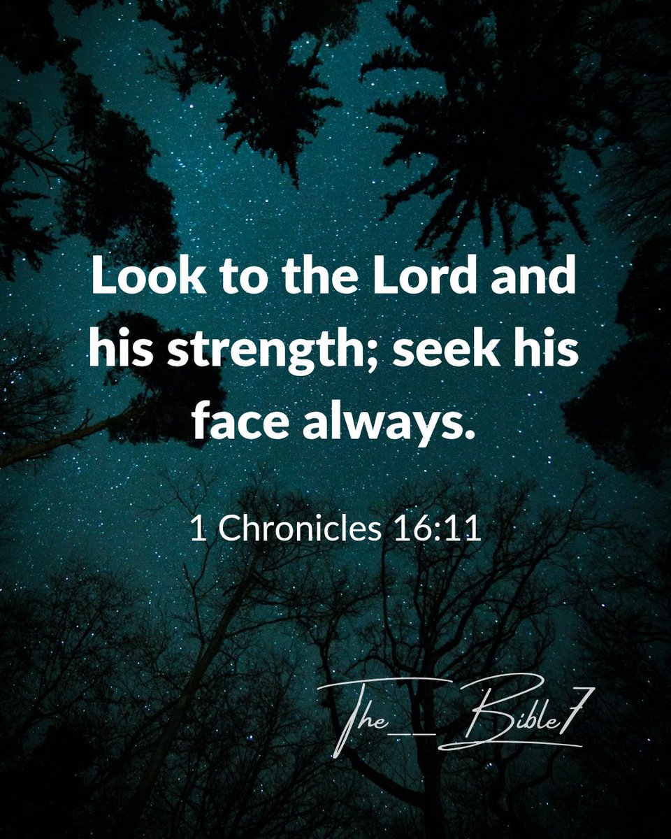 The Bible tweet media