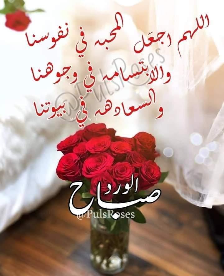 زهرة مضيئة🌺🕊 tweet media
