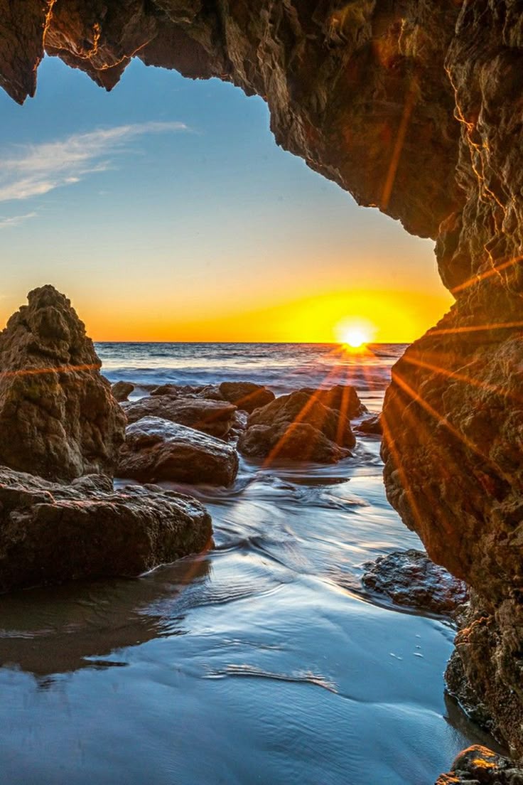 Nature's Embrace tweet media