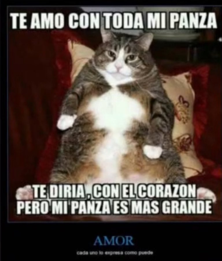 ­ ­Man­† tweet media