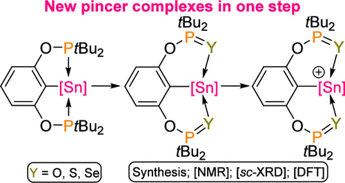bhkenlo's tweet photo. Straightforward Donor Atom Switching: From P,C,P- to Various Y,C,Y-Pincer (Y = O, S, Se) Organotin(IV) Compounds and Cations | Inorganic Chemistry https://t.co/5eBW4cHv6g Benkő, Dostál, and co-workers @InorgChem #organotin #PCP #YCY #chalcogens #NMR #DFT #NBO #AIM https://t.co/MFGPTOK4p4