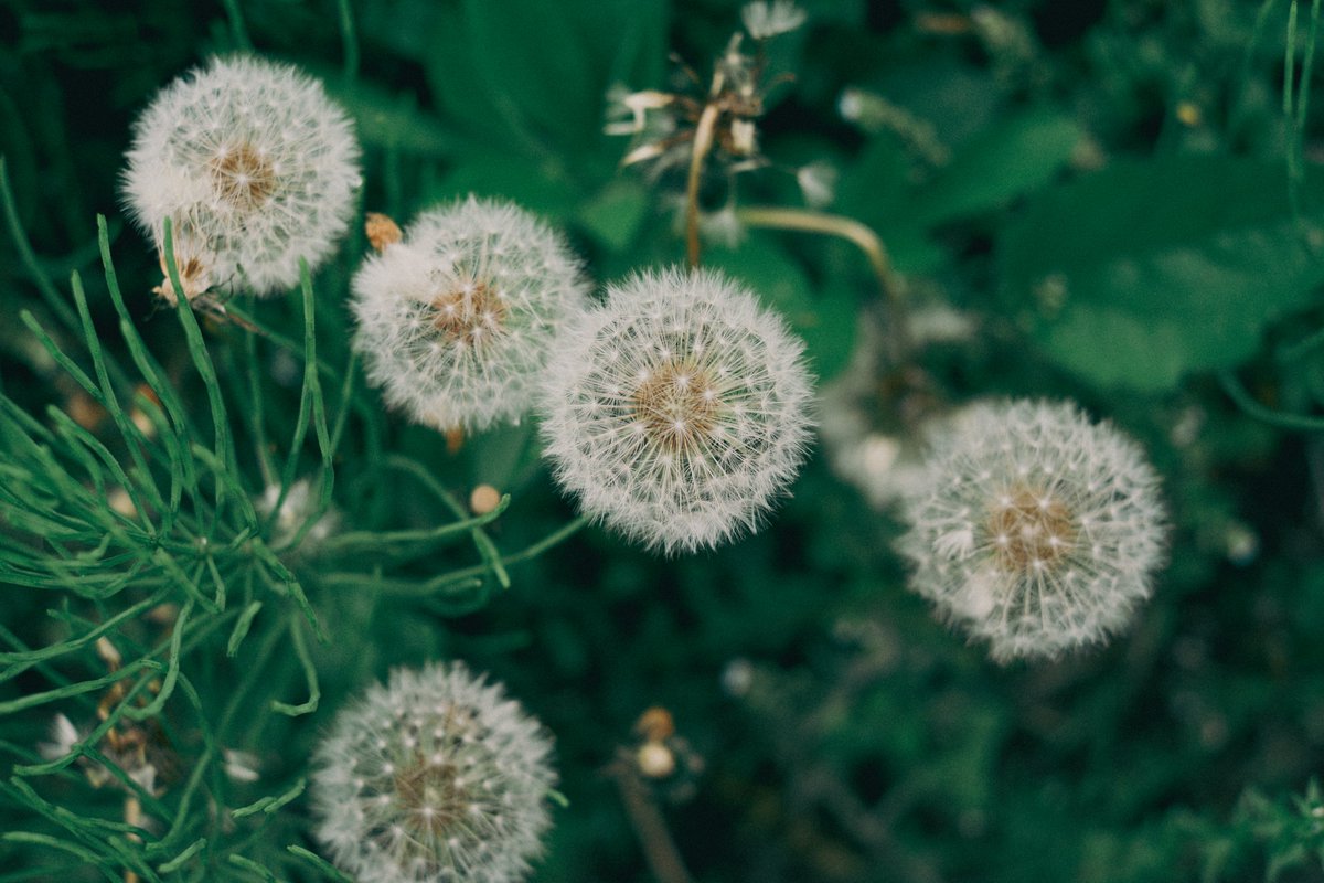 kyubinoneko's tweet image. #photography #JapanVibes 休日