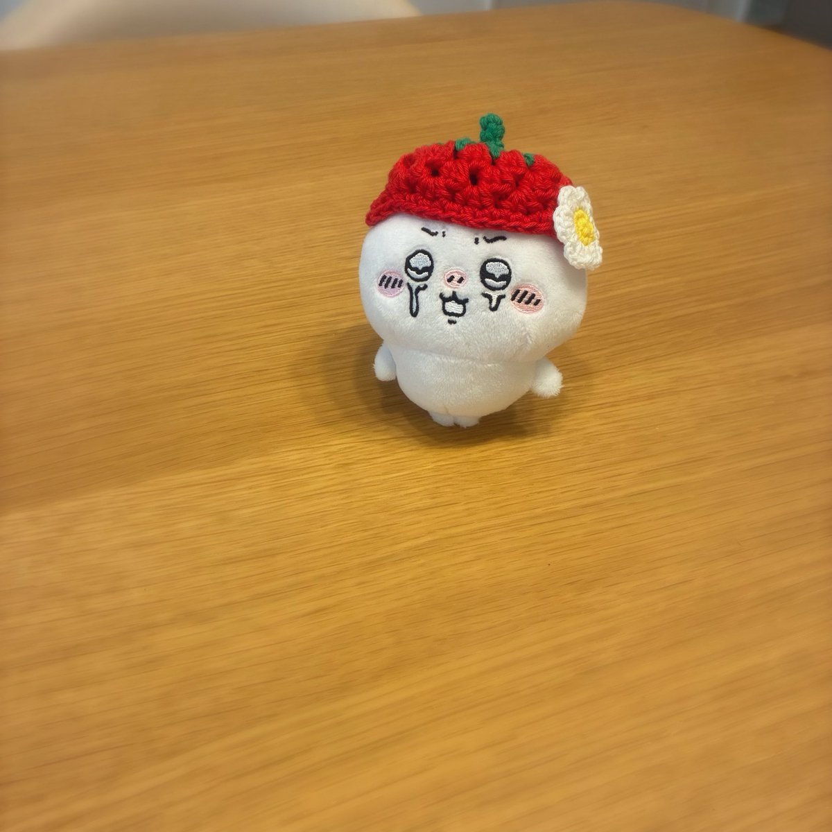 たね🧶 tweet media