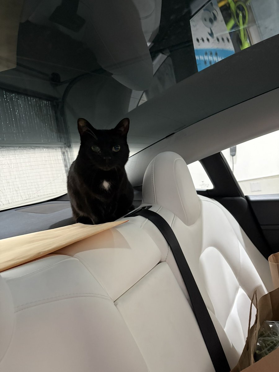 Ahmad F Samin tweet media