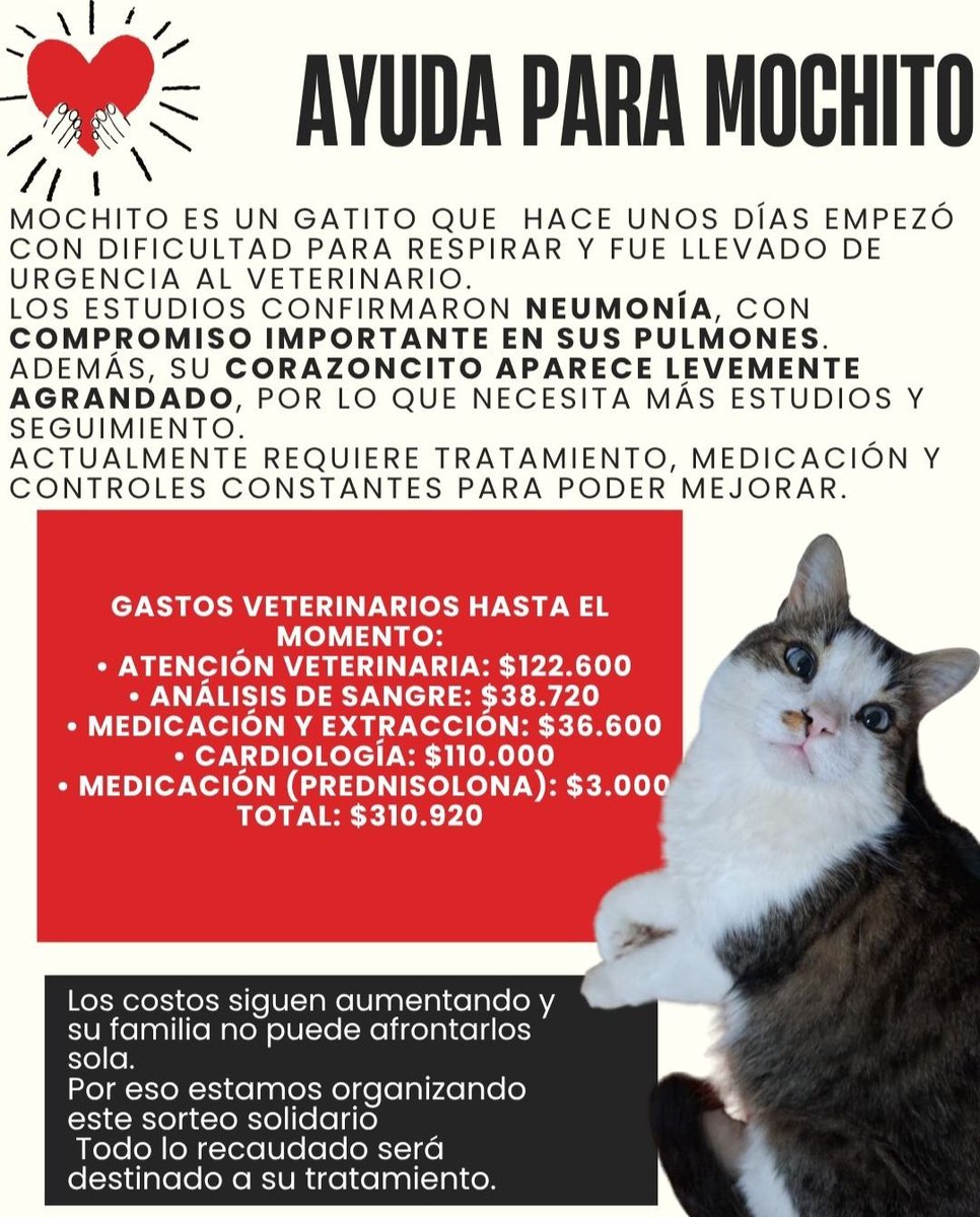 xime⁷ VA VER A BTS tweet media