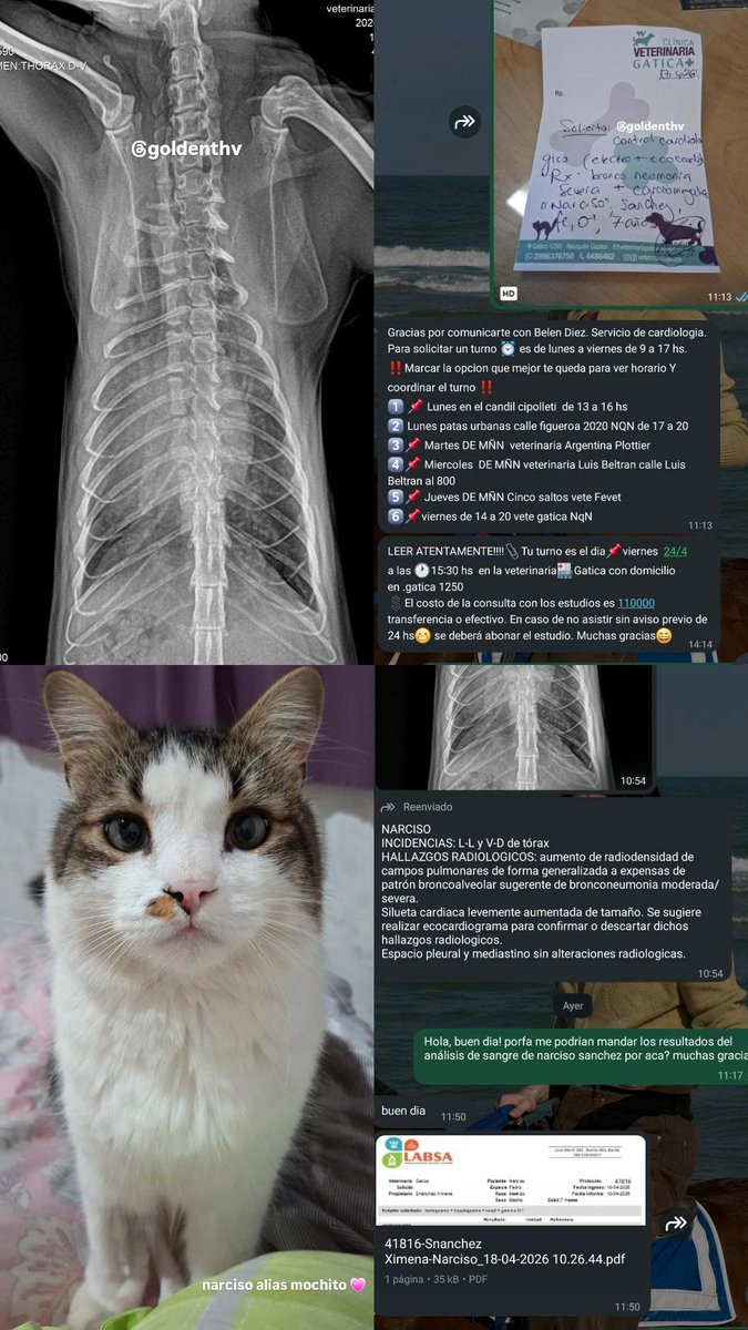 xime⁷ VA VER A BTS tweet media