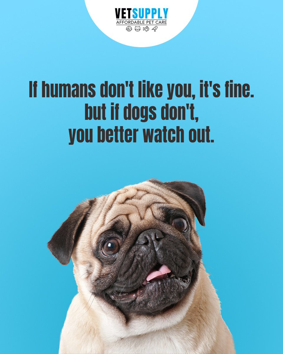 vetsupplyau's tweet image. Humans can be wrong… dogs? Never. 🐾
Trust the tail wag.

#vetsupplyau #vetsupplyaustralia #dogs #dogsofinstagram #doglovers #petlove #petsupplies #petsaustralia #doglife #puppylove #petcare #affordablepetcare #vetlife #dogvibes #petparents #furbaby