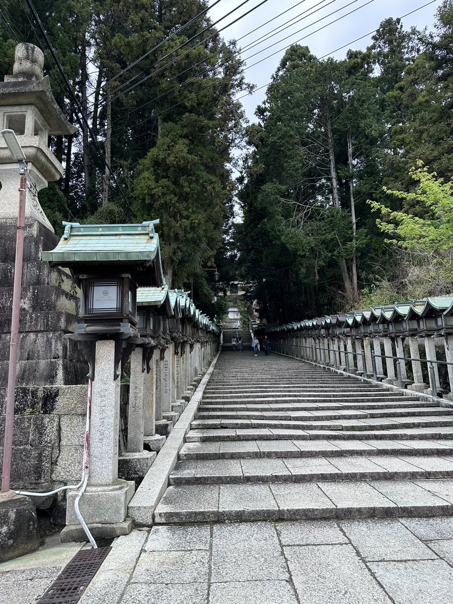 のじやん🐳🐳 ⛩️🍄🐆🖤 tweet media