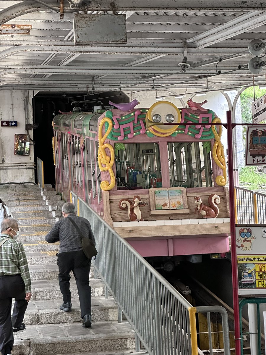 のじやん🐳🐳 ⛩️🍄🐆🖤 tweet media