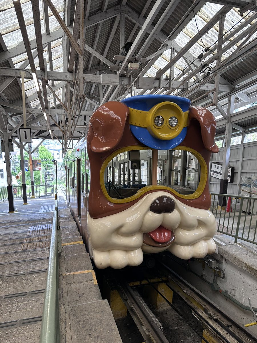 のじやん🐳🐳 ⛩️🍄🐆🖤 tweet media