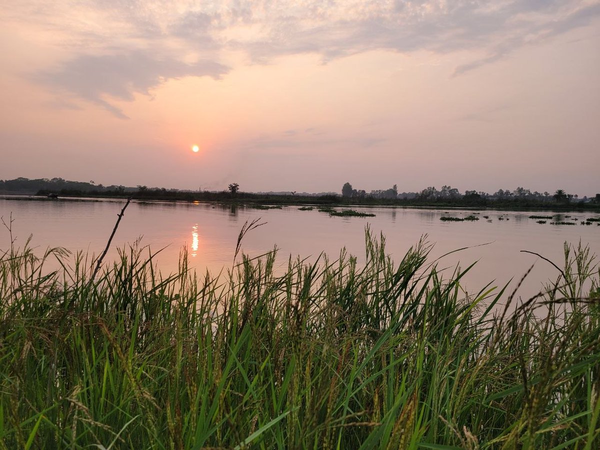 Razzak49 tweet media