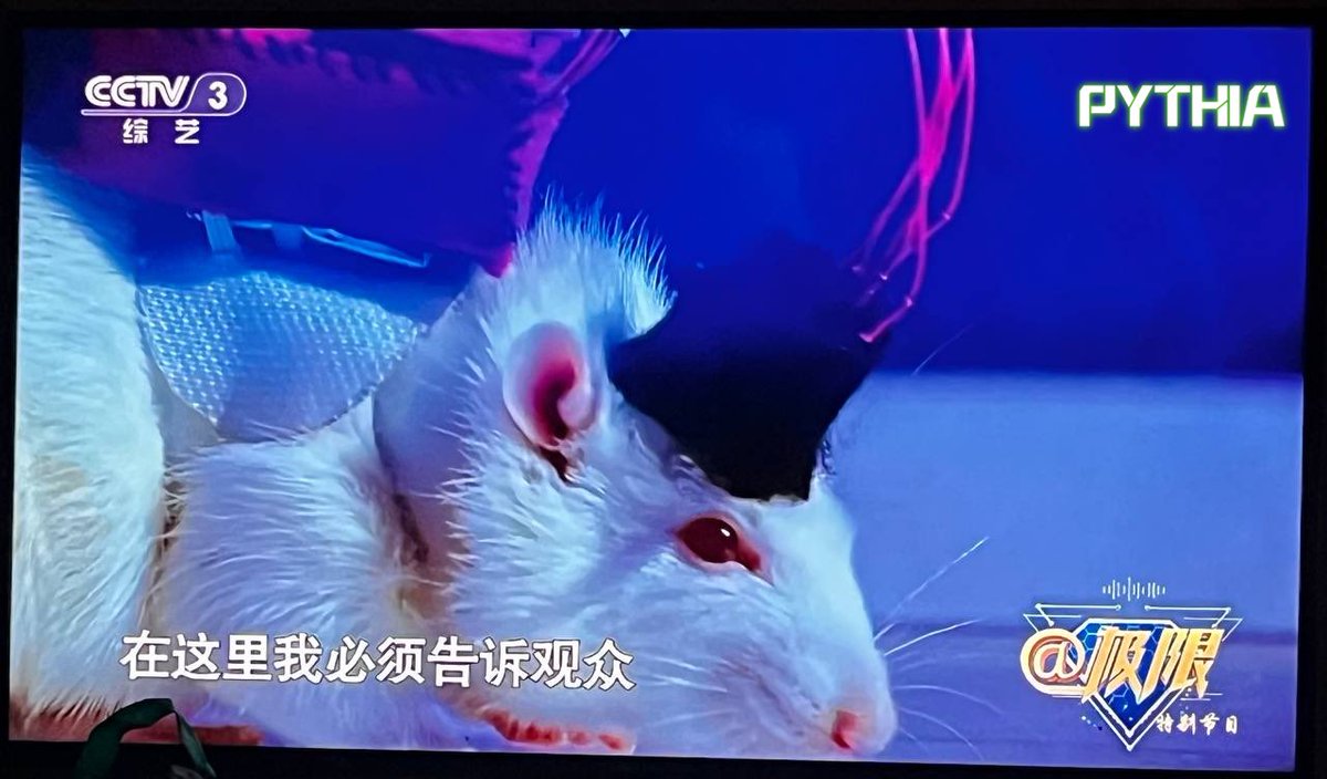 UFO,PhD☀️ tweet media