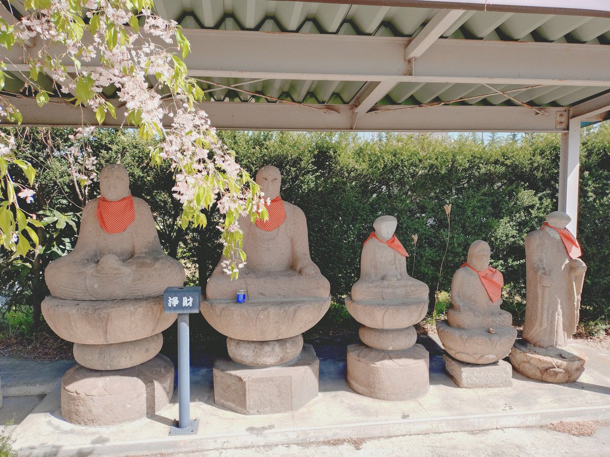 自転車ぱんだ tweet media