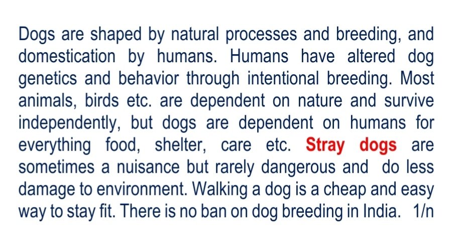 Harsha_Epiphans's tweet image. #stray #dogs