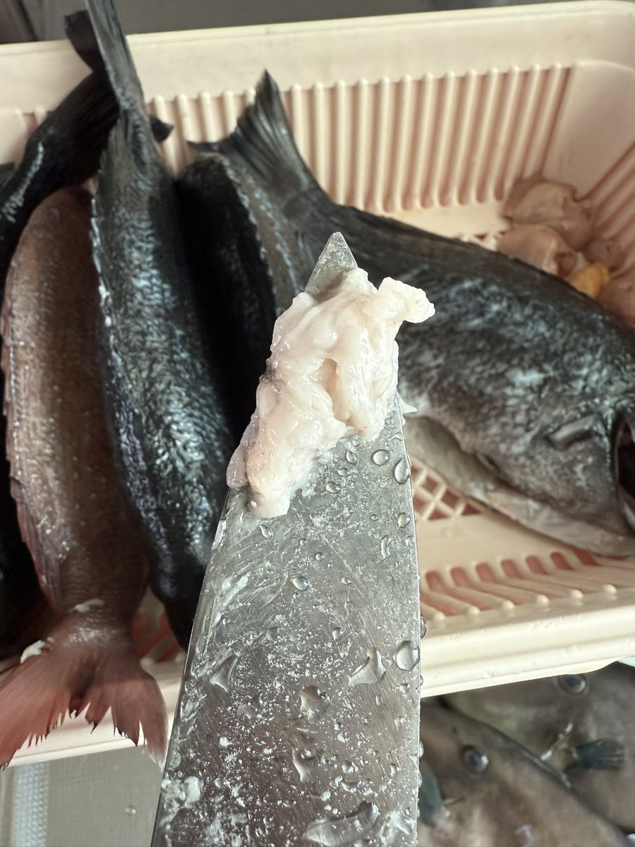 しゅん＠日々を楽しく tweet media