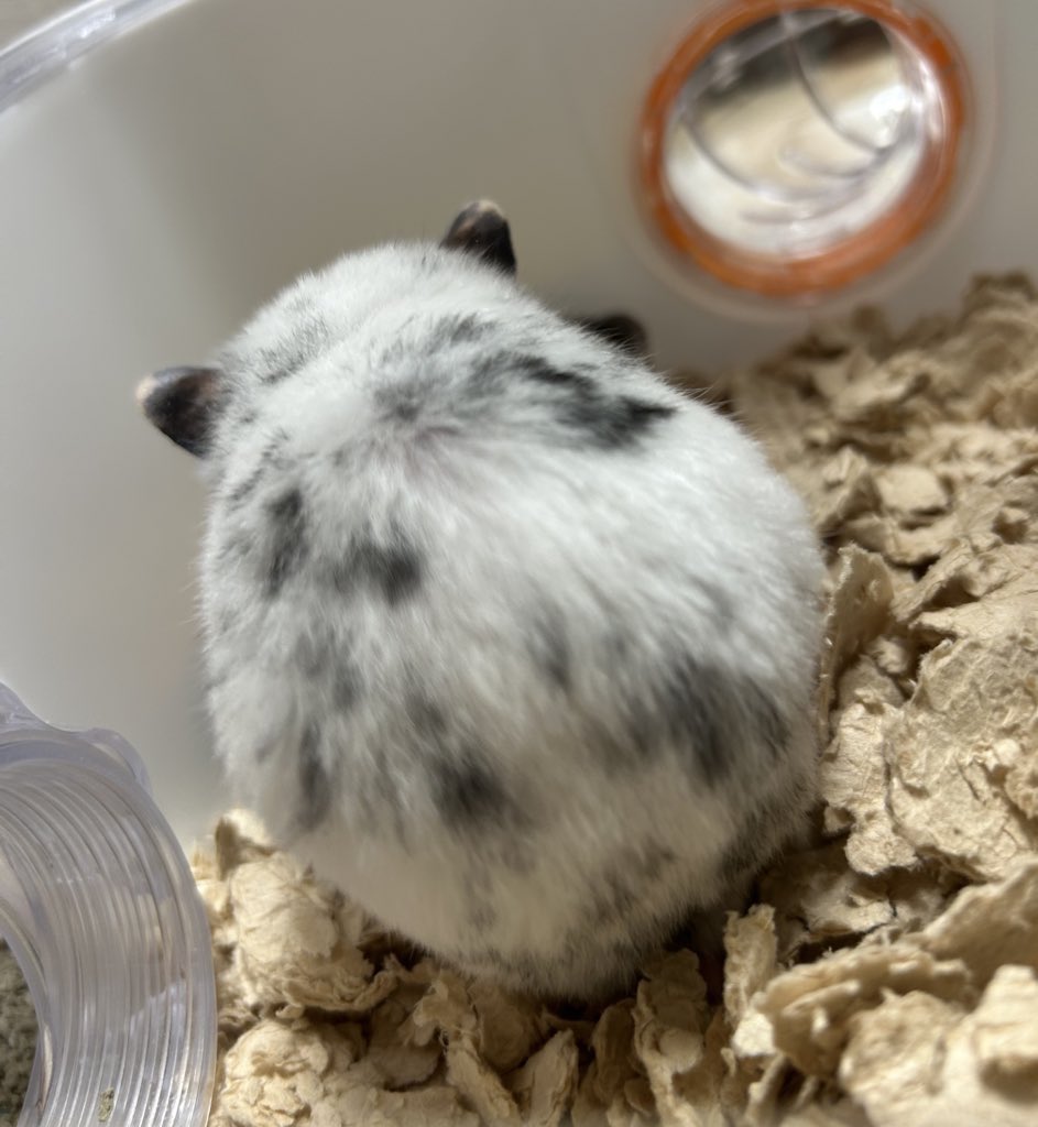 𝕝 𝕦 𝕜 𝕒 ✘ 𝕔 𝕙 𝕒 𝕪 tweet media