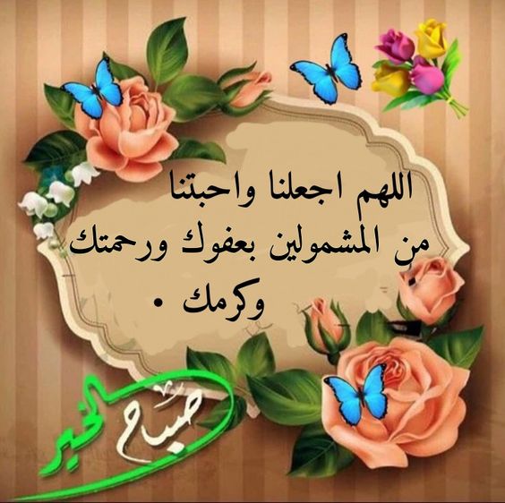 روائع القرآن والسنة tweet media