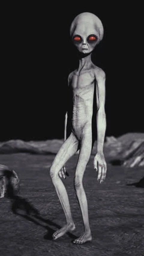 rayraychaychay's tweet photo. Alien thinspo hitting rn https://t.co/10F1ytOEGF