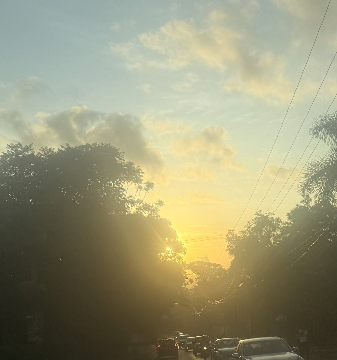 MosesRutahigwa's tweet photo. Life is a hustle. There's no straight line or smooth edge; it's a mix of lows and highs. Just as the sun shines on the trees and broken pieces, you have to push through the bumps while focusing on the brighter moments. And I can guarantee you that moment will arrive.

Have a good day ahead.