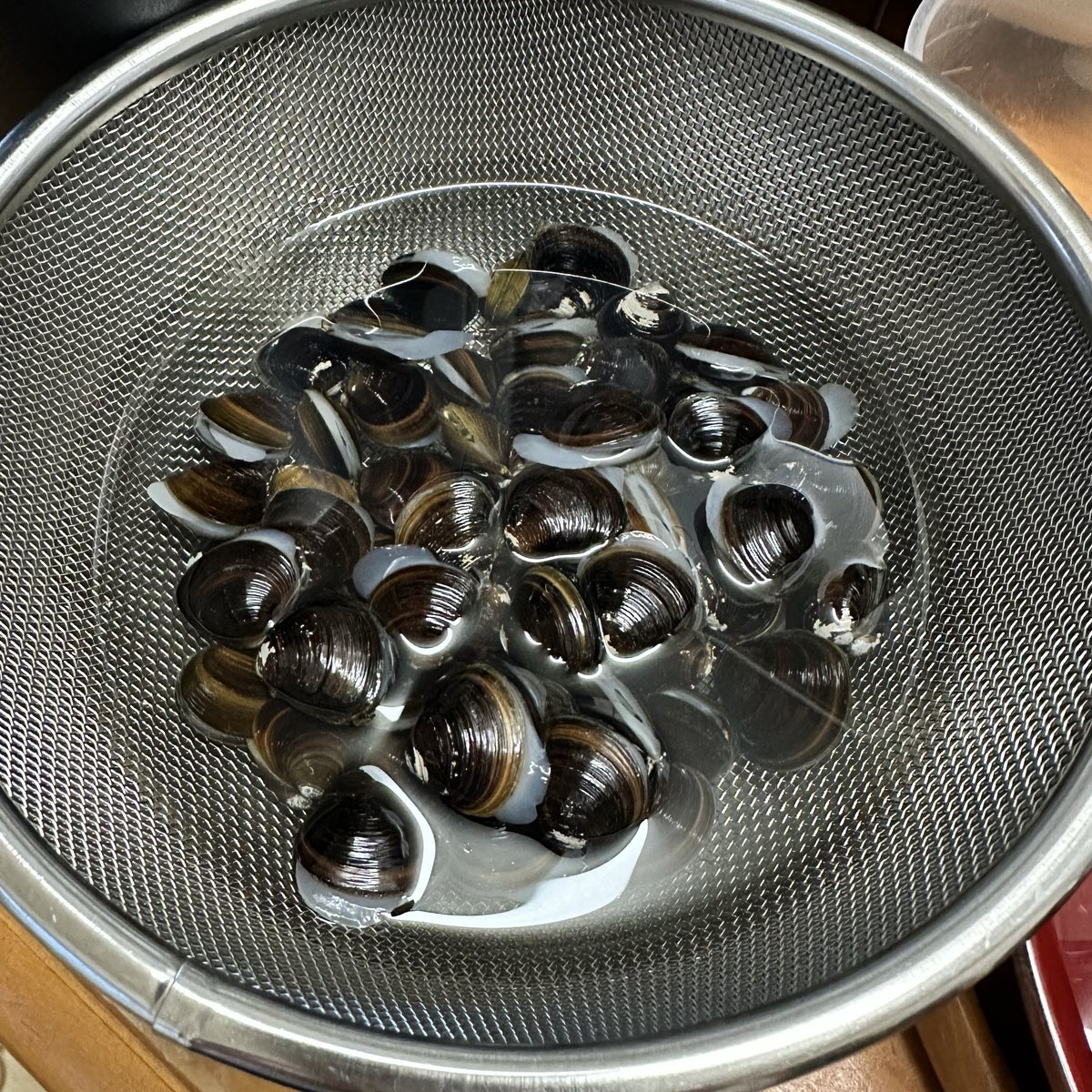 よつば ꕤ*.ﾟ tweet media