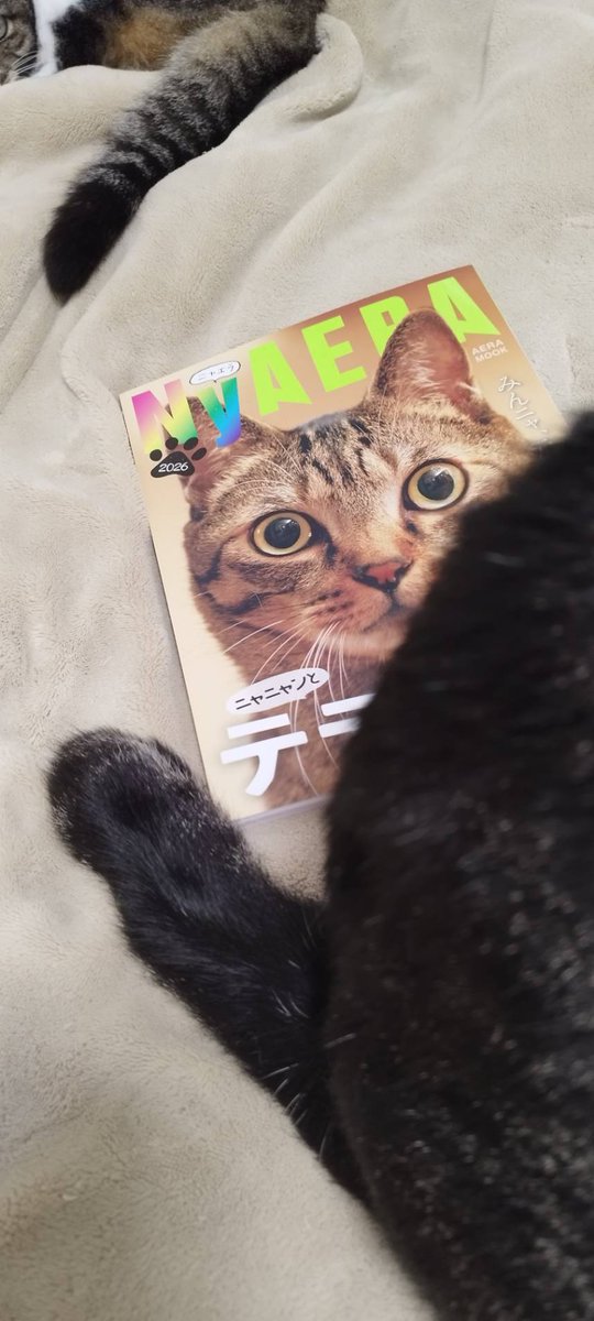 NyAERA tweet media