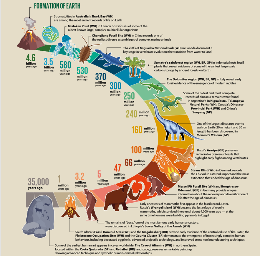 The History of Life on Earth 🔥