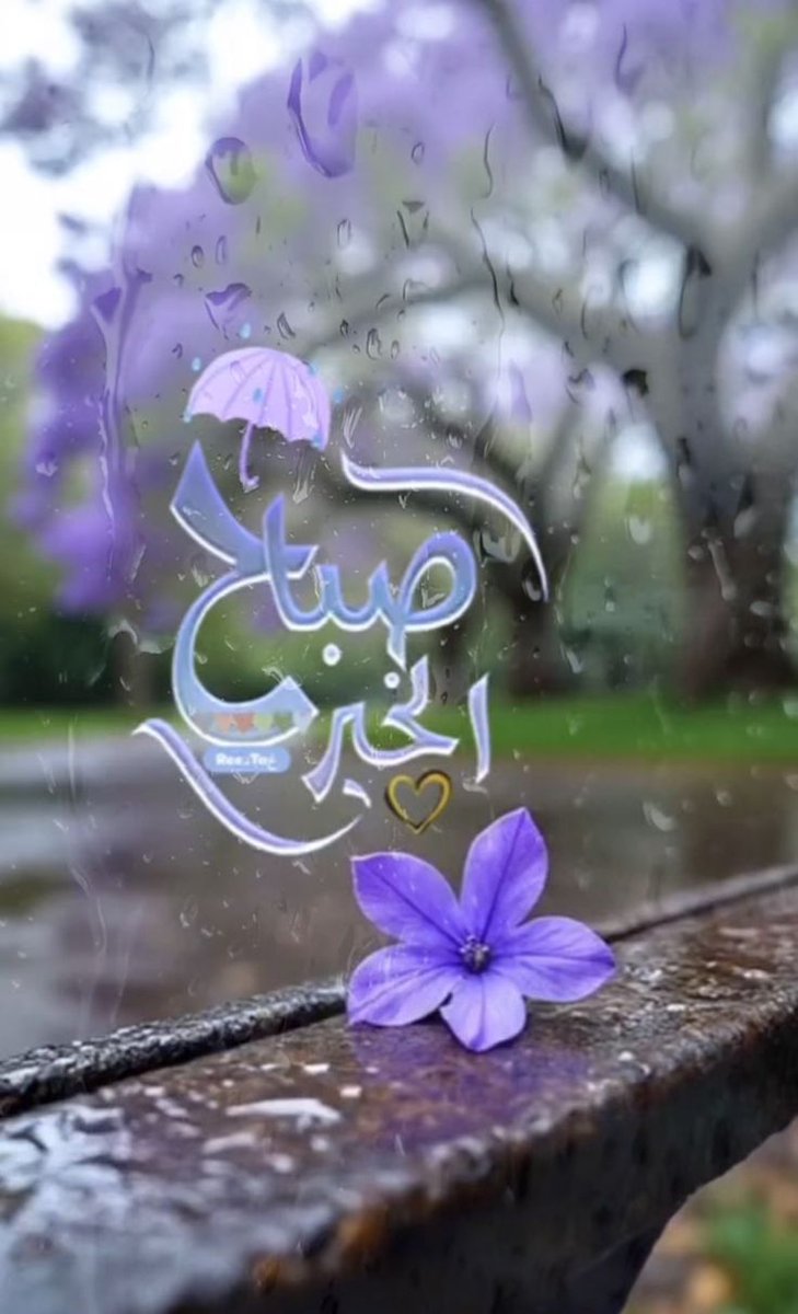 سُرور السماوي tweet media