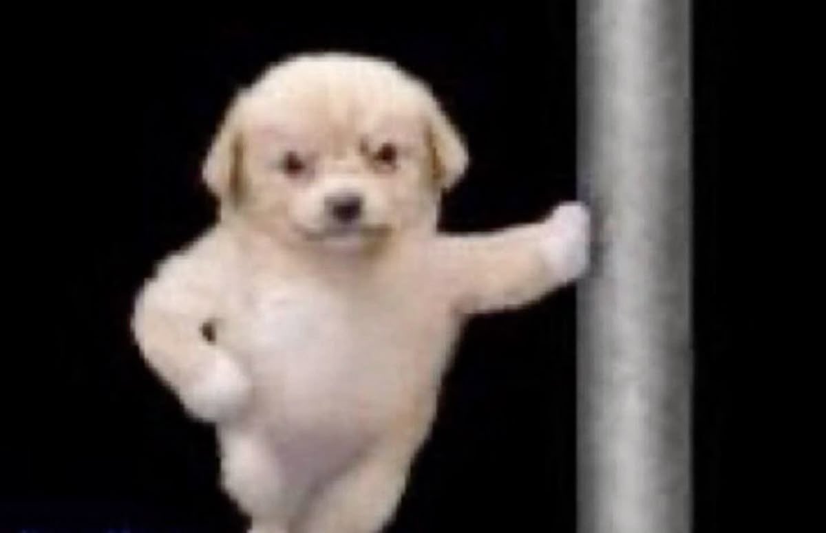 깅윙박 tweet media