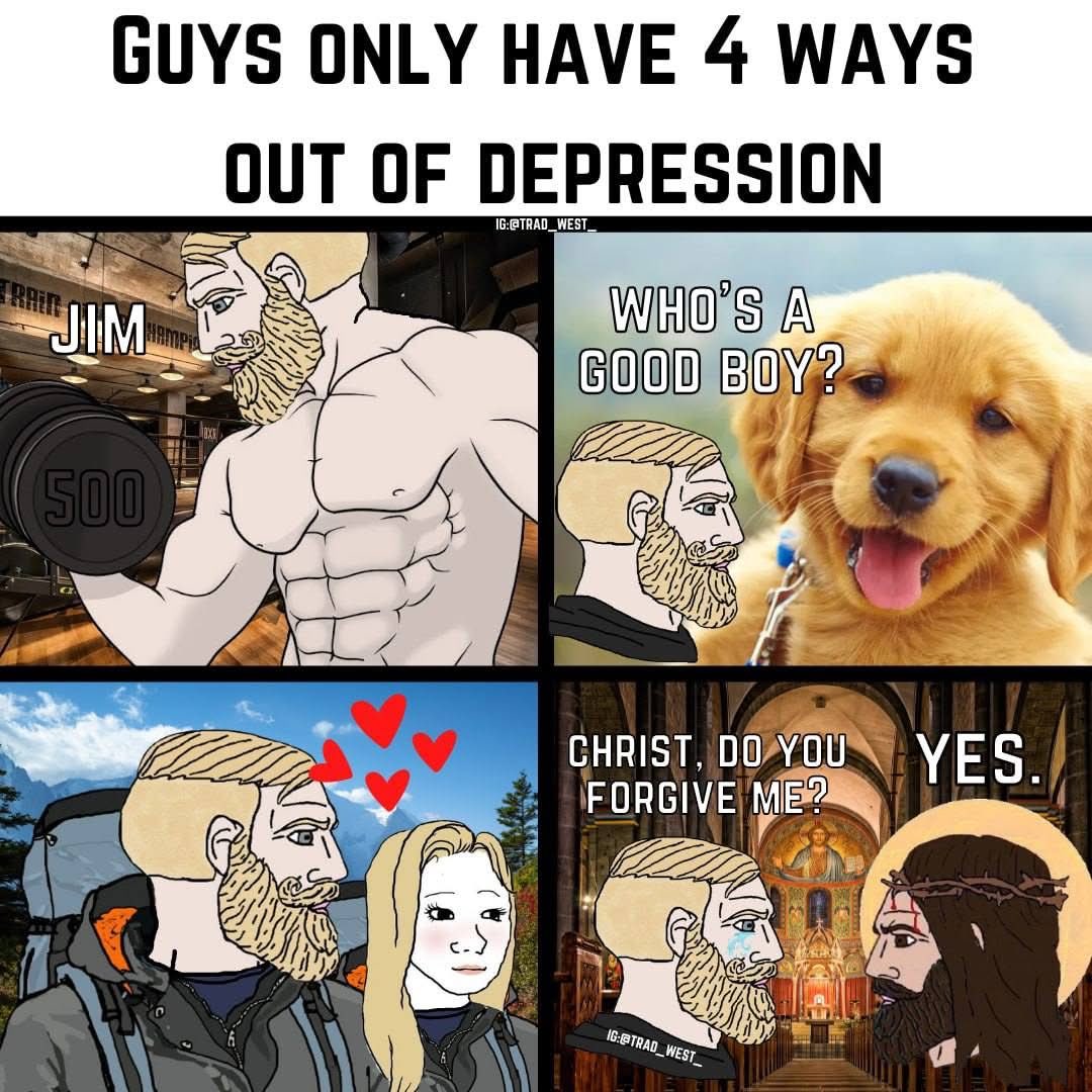 Declaration of Memes tweet media